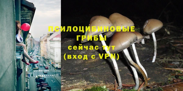 прущий лед Медвежьегорск