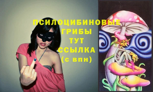 стафф Орск