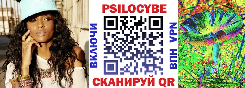 Псилоцибиновые грибы Cubensis  цены   Малая Вишера 
